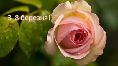 З НАСТУПАЮЧИМ СВЯТОМ, ЛЮБІ ЖІНКИ!