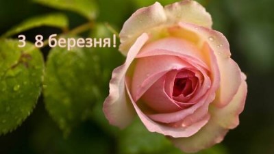 З НАСТУПАЮЧИМ СВЯТОМ, ЛЮБІ ЖІНКИ!